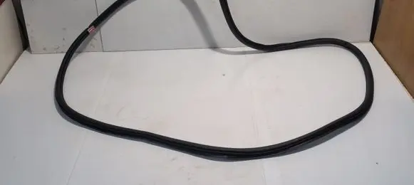 Volkswagen PASSAT B8 Front door rubber seal 3G0867911K
