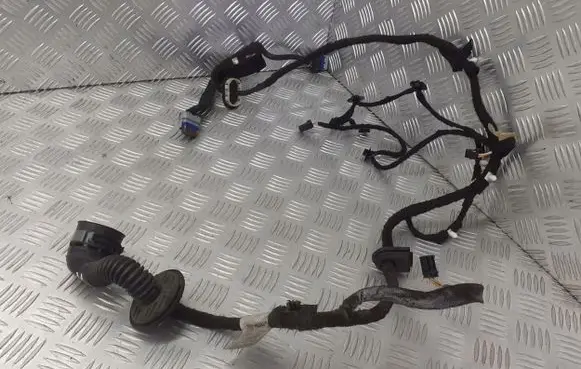 Citroen C5 Front door wiring loom 9672176480