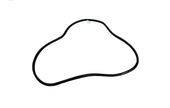 BMW 3 G20 G21 Rear door rubber seal (on body) 7407375