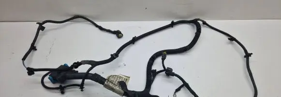 Maserati Ghibli Other wiring loom 06701062820