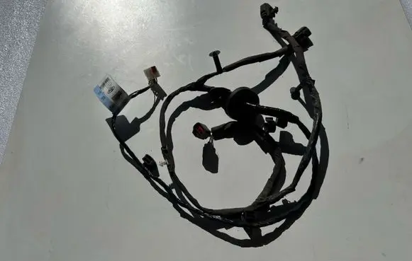 Ford Mustang VI Other wiring loom 2B572