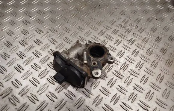 EGR valve