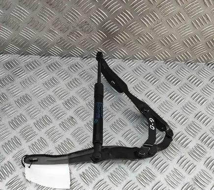 BMW Z4 E89 Tailgate/trunk/boot hinge 7191255 7191276