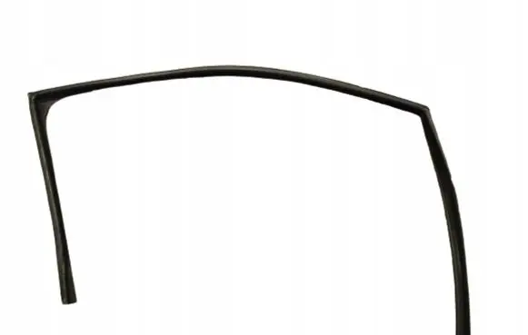 Renault Twingo II Rubber seal front coupe door 8200386019