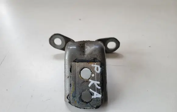 Nissan Juke II F16 Front door lower hinge 