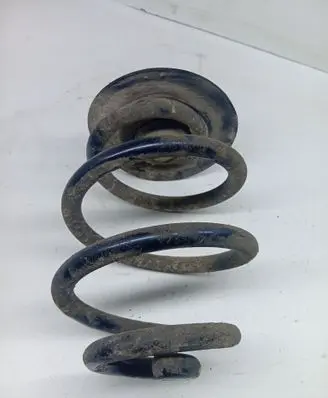 Rear coil spring