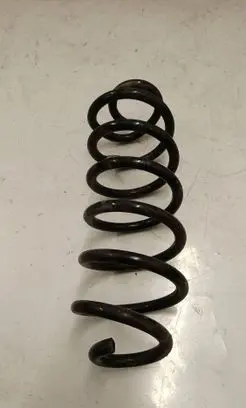 Rear coil spring