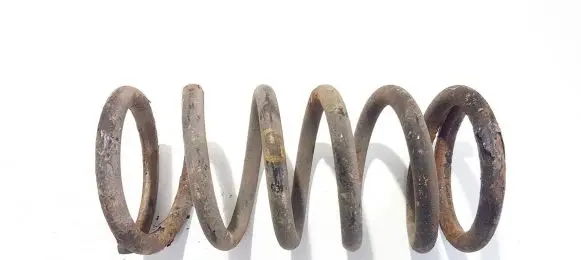 Hyundai Santa Fe Rear coil spring