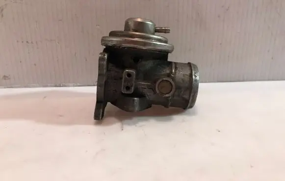 Volkswagen PASSAT B5 EGR valve 038131501G 080223084