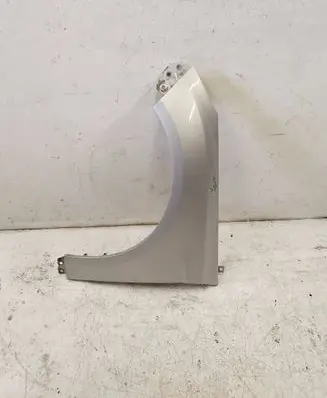 Ford Focus Fender