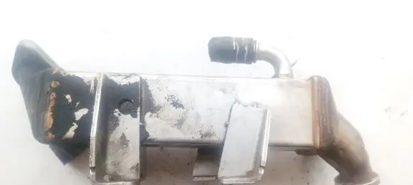 Renault Laguna III EGR valve cooler 8200719993D