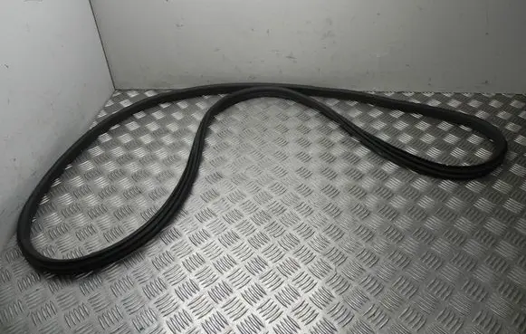 BMW X4 G02 Rubber seal rear door 7416498