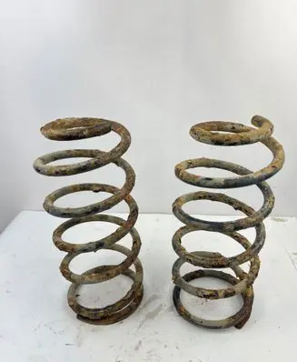 Toyota Land Cruiser (J120) Rear coil spring