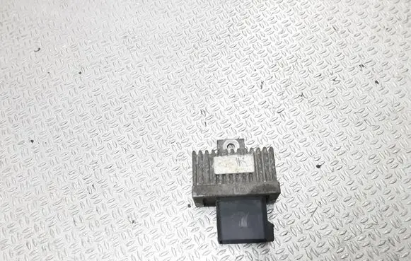 Renault Scenic RX Other relay