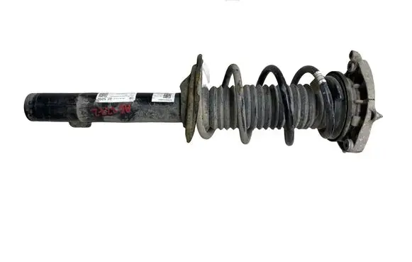 Cupra Born Front shock absorber/damper 1EA412013EF