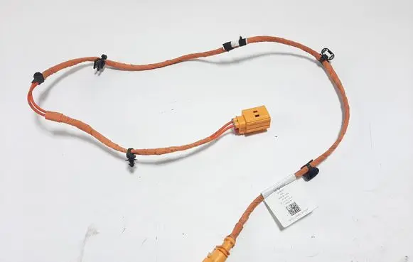 Cupra Born Other wiring loom 1EA971475F