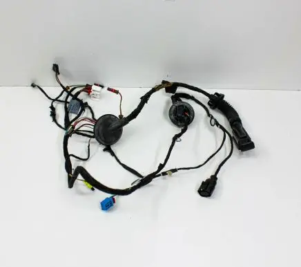 Audi Q5 SQ5 Front door wiring loom 80A971029G
