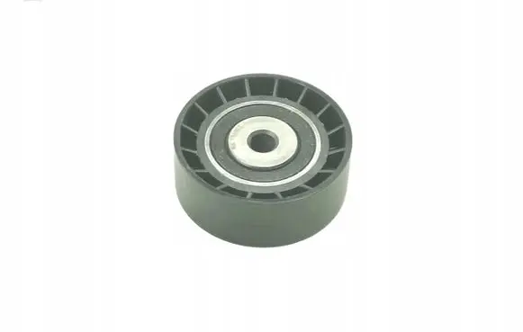 Renault Clio II Timing belt tensioner APV2164