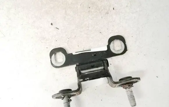 Rear door lower hinge