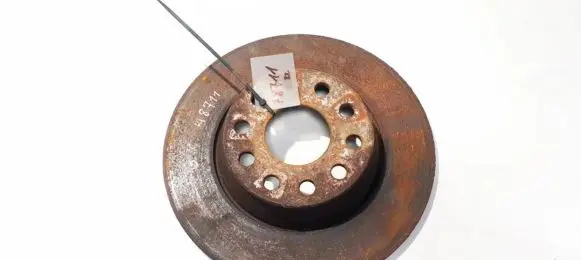 Volkswagen PASSAT B6 Rear brake disc neventiliuojamas