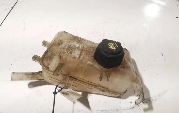 Renault Scenic III - Grand scenic III Coolant expansion tank/reservoir 
