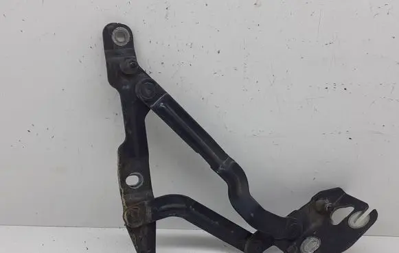 Volkswagen PASSAT B5 Tailgate/trunk/boot hinge