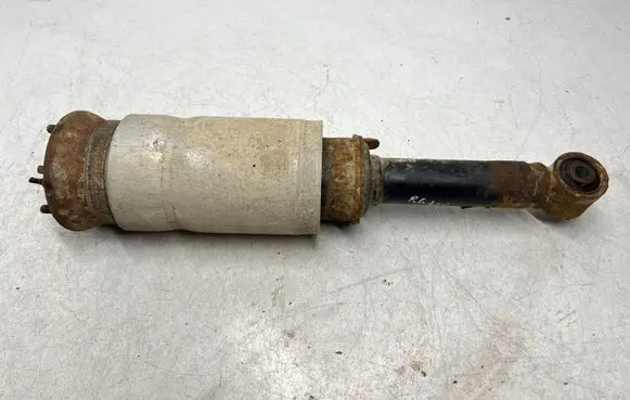 Land Rover Range Rover Sport L320 Air suspension front shock absorber 22257272