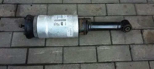 Land Rover Range Rover Sport L320 Air suspension front shock absorber RNB501600