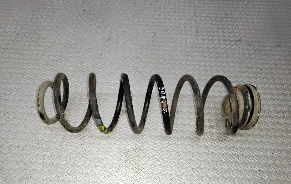Rear coil spring