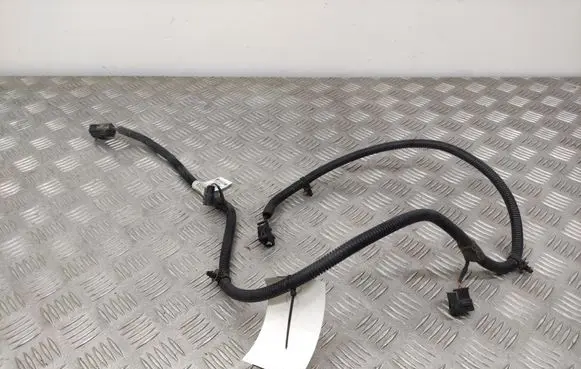 Chevrolet Captiva Parking sensor (PDC) wiring loom 20941598