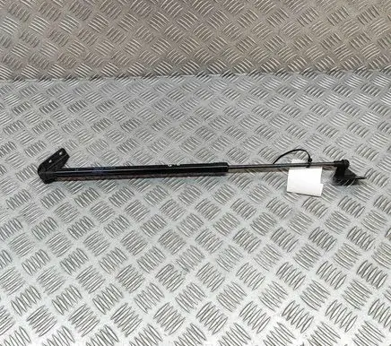 Nissan Juke II F16 Tailgate/trunk strut/damper 904506PA0A