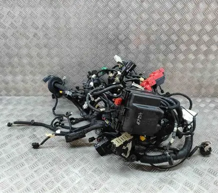 Ford Mustang Mach-E Other wiring loom LJ8T14D068NAC CNJ8T14290EBB