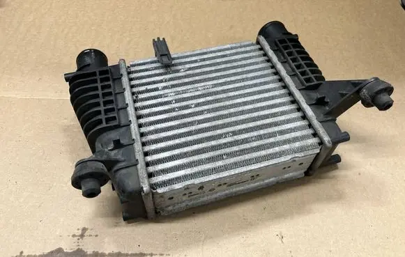 Nissan Juke I F15 Intercooler radiator 14461EM00A