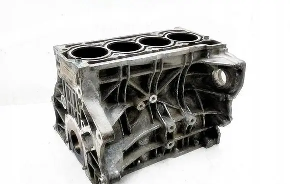 Volkswagen Golf V Engine block 8190569717