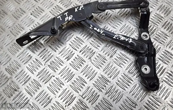 Audi TT Mk1 Engine bonnet/hood hinges 8n0823301