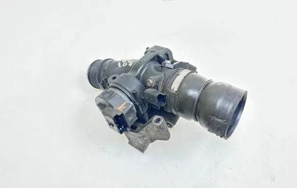 Peugeot 207 Throttle valve 9660030380 25365284