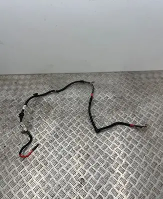 BMW X1 F48 F49 Positive cable (battery) 8594490 E2A206