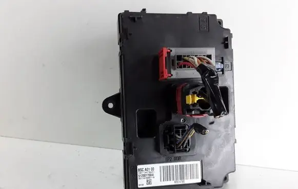 Citroen C5 Other control units/modules S120017004L BSCA0100