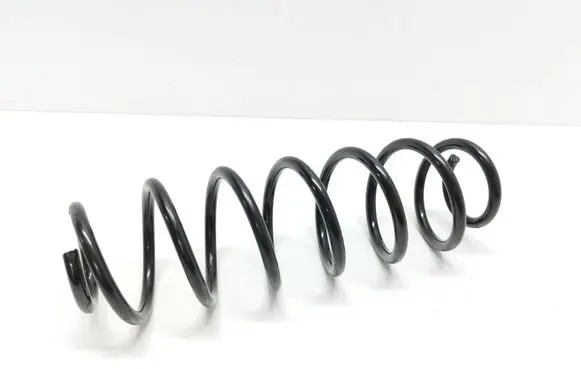 Seat Cordoba (6L) Rear coil spring 2120253