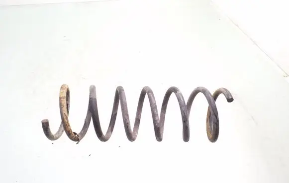 Rear coil spring