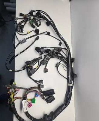 Other wiring loom