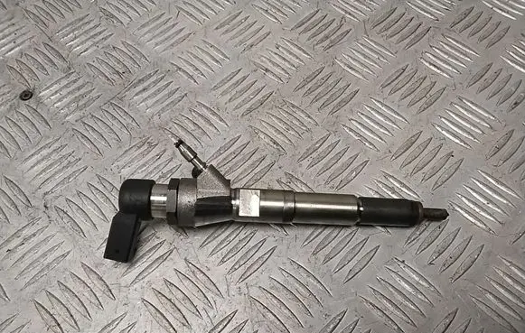 Nissan Qashqai Fuel injector H8201100113