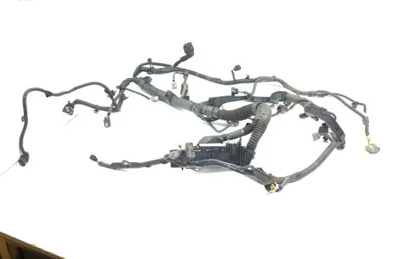 Engine installation wiring loom