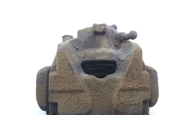 Dacia Lodgy Front brake caliper 