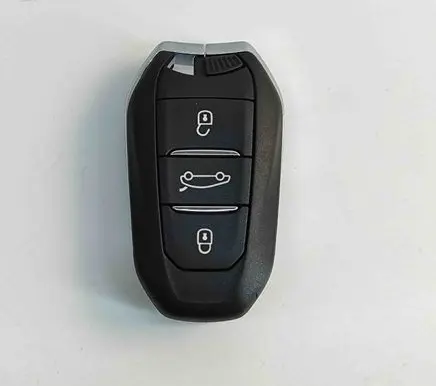 Peugeot 3008 III Ignition key/card 9842119480
