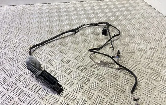 BMW 3 F30 F35 F31 Rear door wiring loom 9286210 9286249