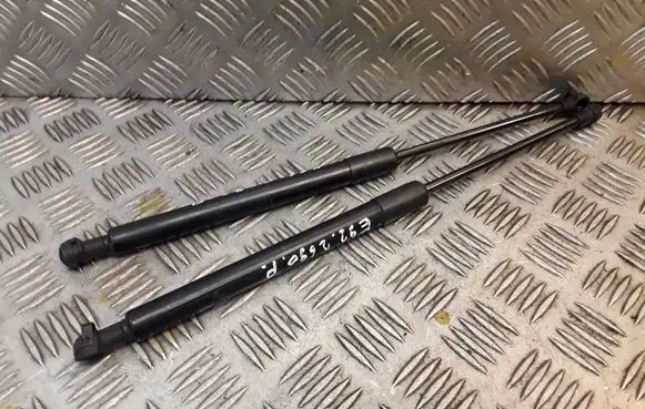 BMW 3 E92 E93 Front bonnet/hood damper/strut 7129190