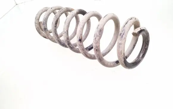 Skoda Octavia Mk2 (1Z) Rear coil spring