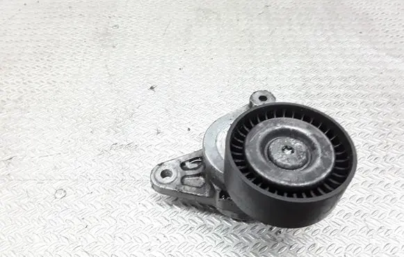 Mercedes-Benz S W220 Generator/alternator belt tensioner