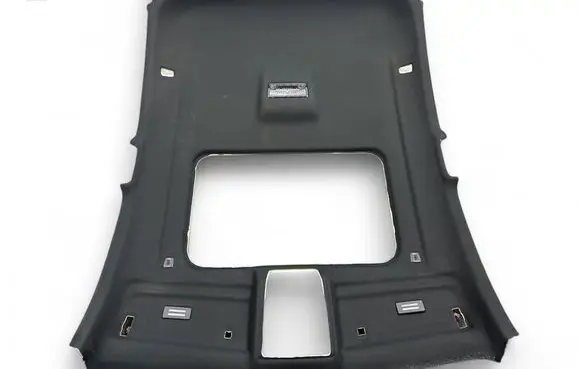 BMW X4 F26 Headlining 769092 15671810 206466PB